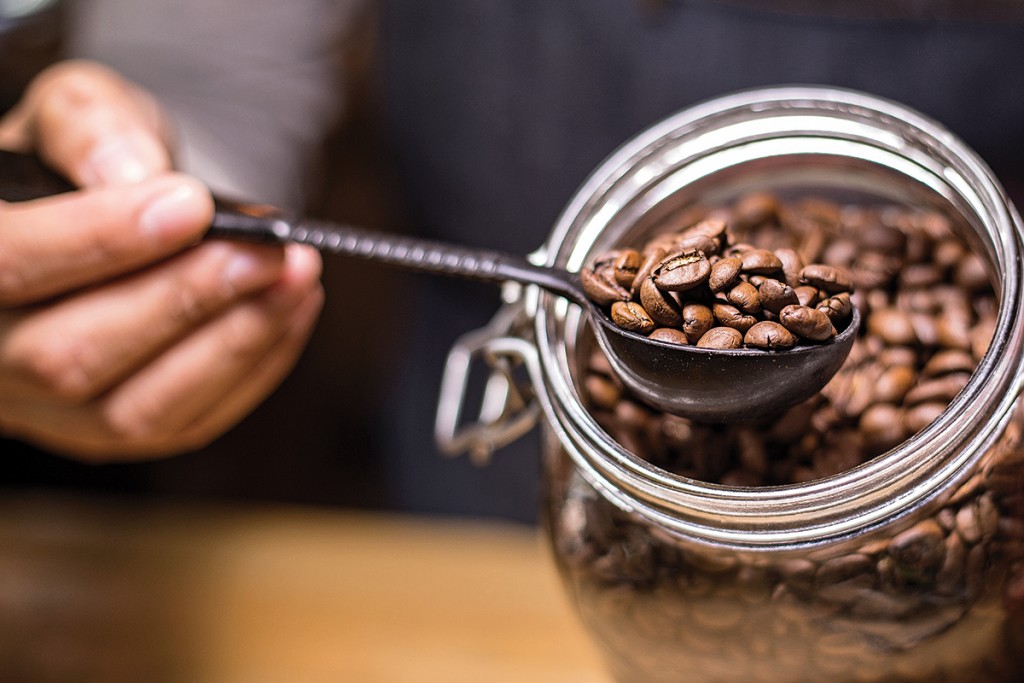 El arte del café: Descubriendo los secretos y el encanto de los granos de calidad