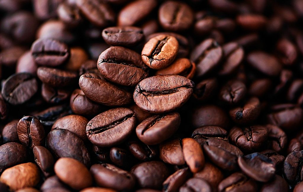 La ruta de los sabores: Descubriendo los secretos y el encanto de los granos de café de primera calidad